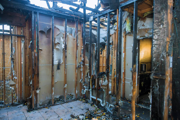 Professional Fire Damage Removal technician working in Janesville, MN